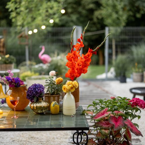 Variety of blooming flowers in vases on table at backyard